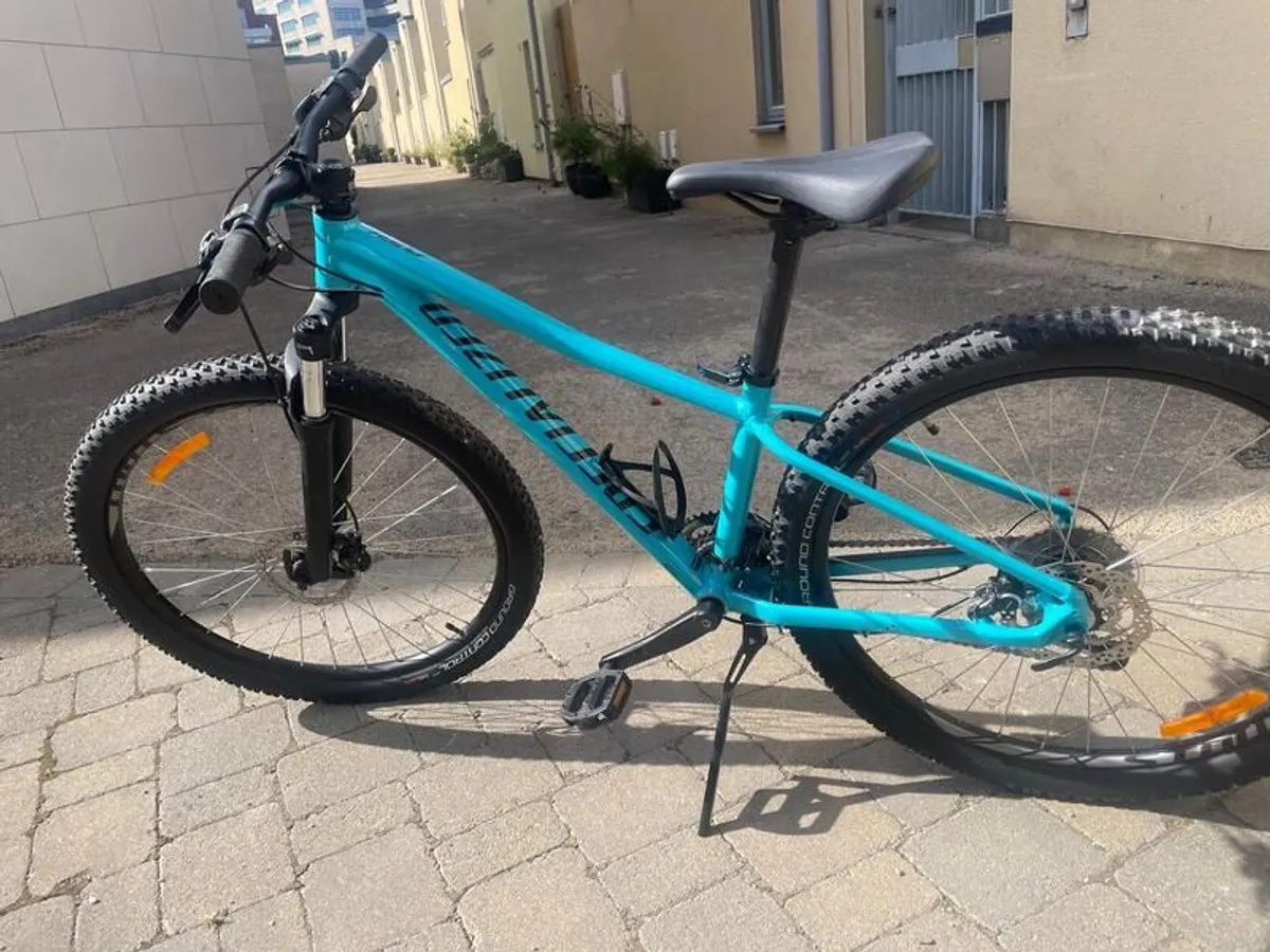 Specialized picth - Image 1