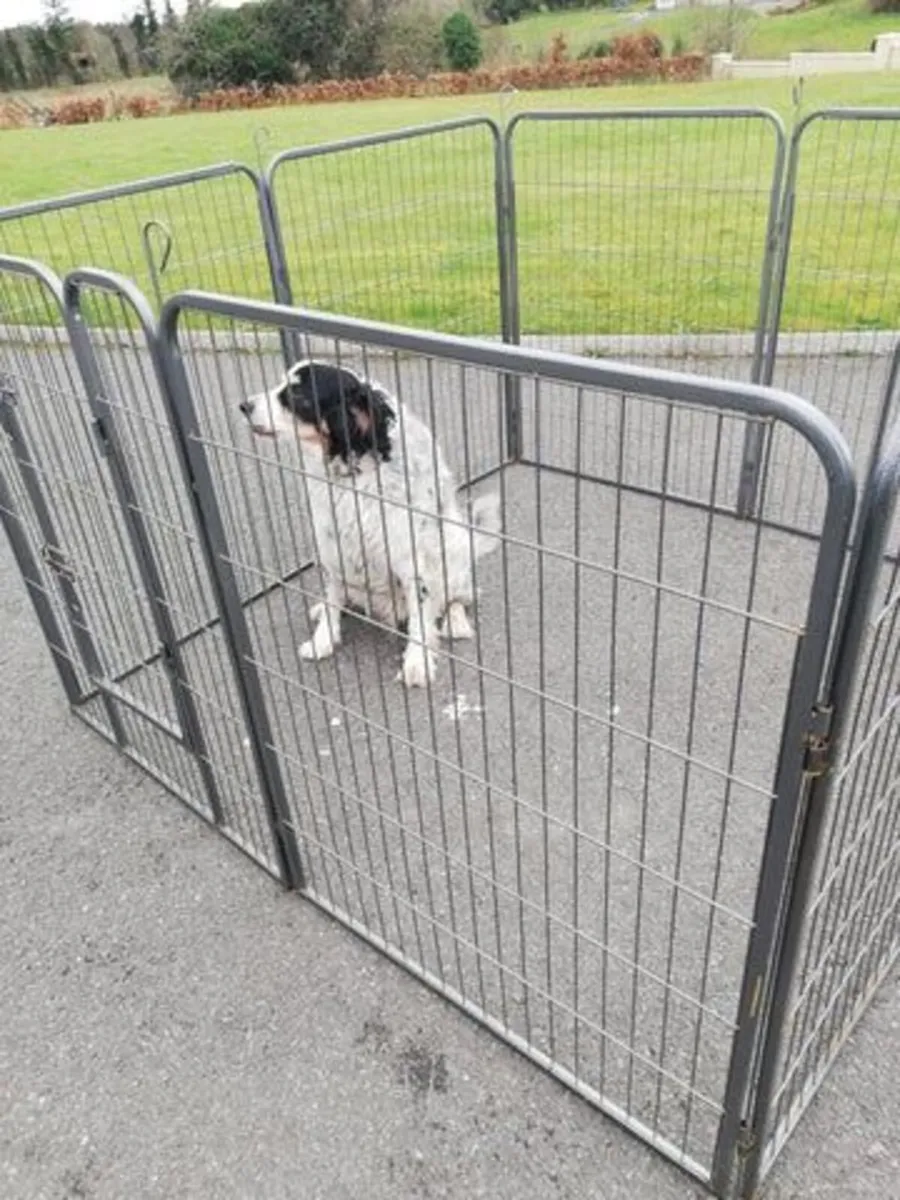 8 Panel Dog enclosure kennel Free Delivery - Image 4