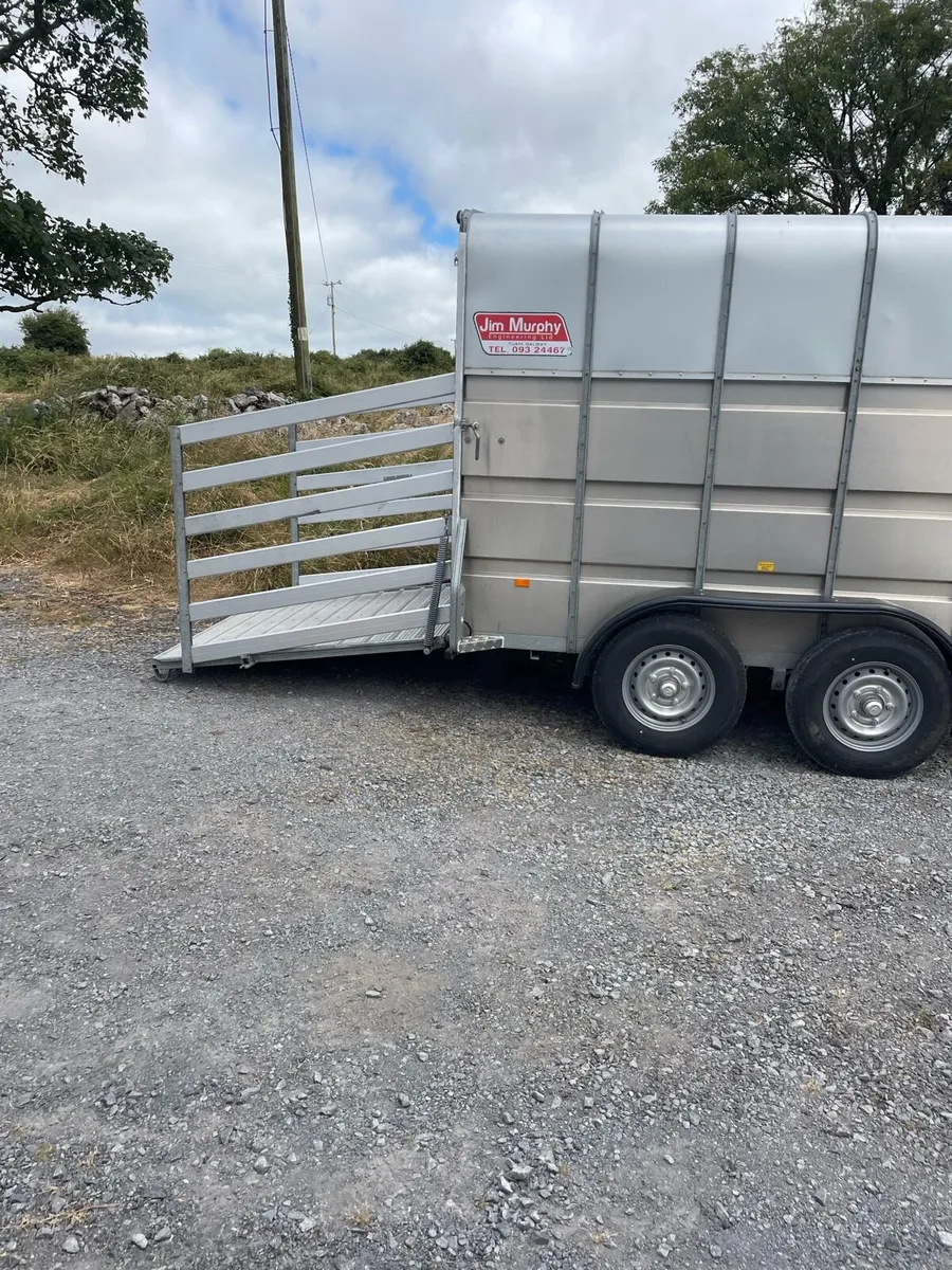Aerlite horse trailer - Image 3