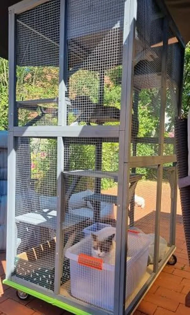 Large Outdoor Cat Enclosure .. Free Delivery - Image 1