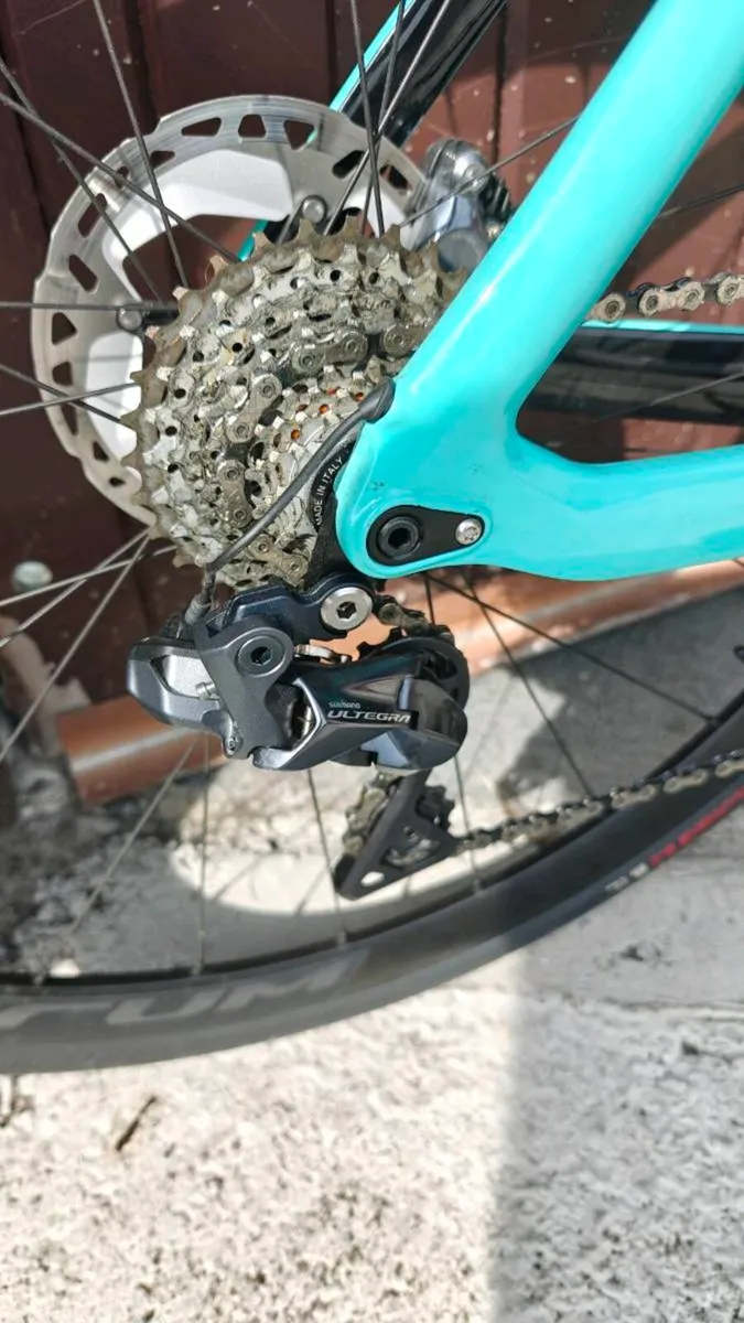 Bianchi aria - Image 4
