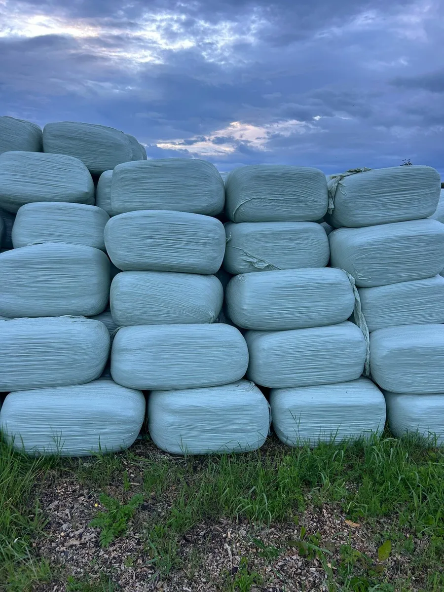 Small bales of Haylage