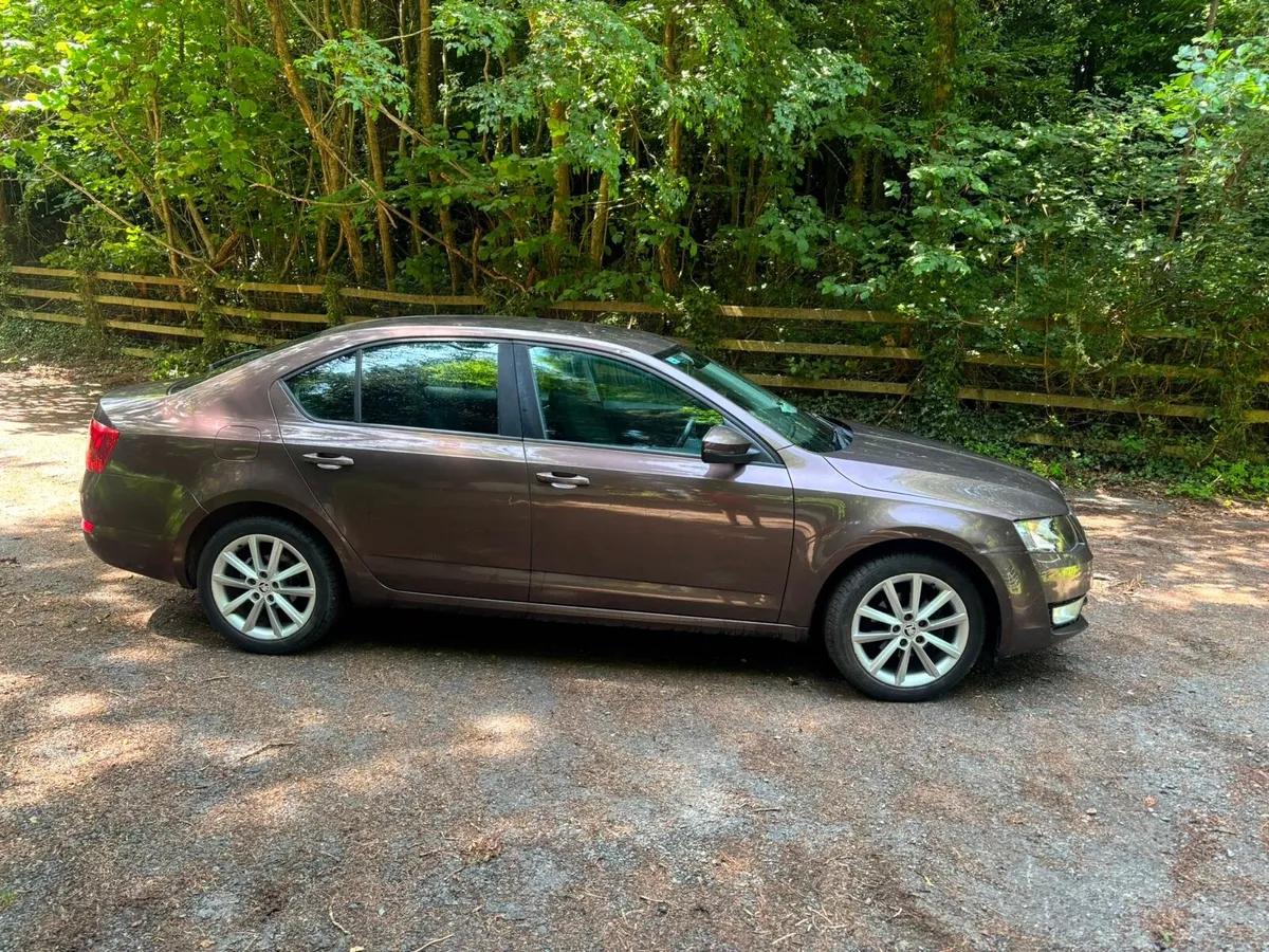14 Skoda Octavia - Image 1