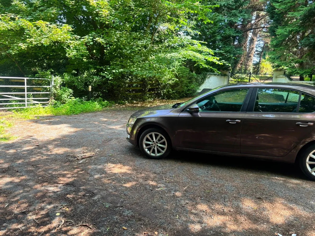14 Skoda Octavia - Image 2