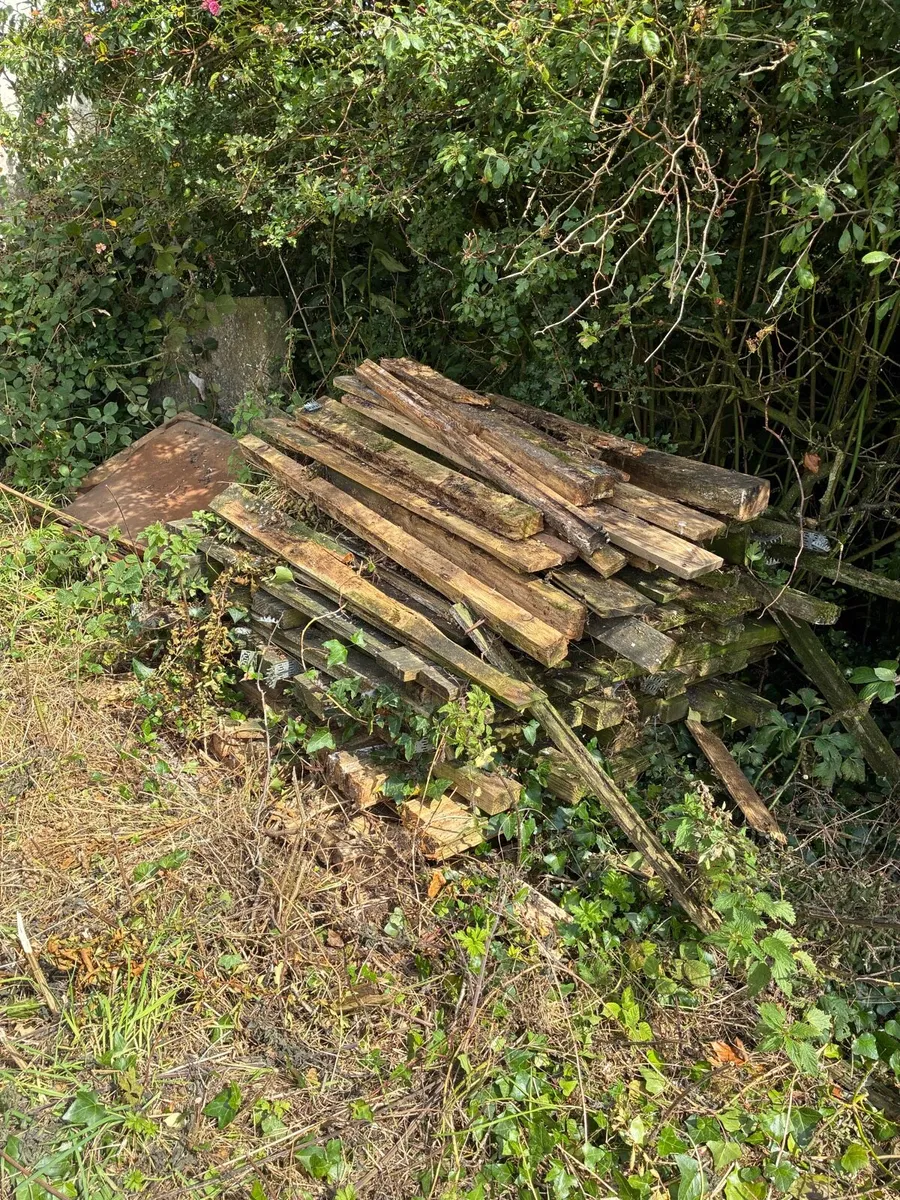 Wood (free to take away) - Image 2