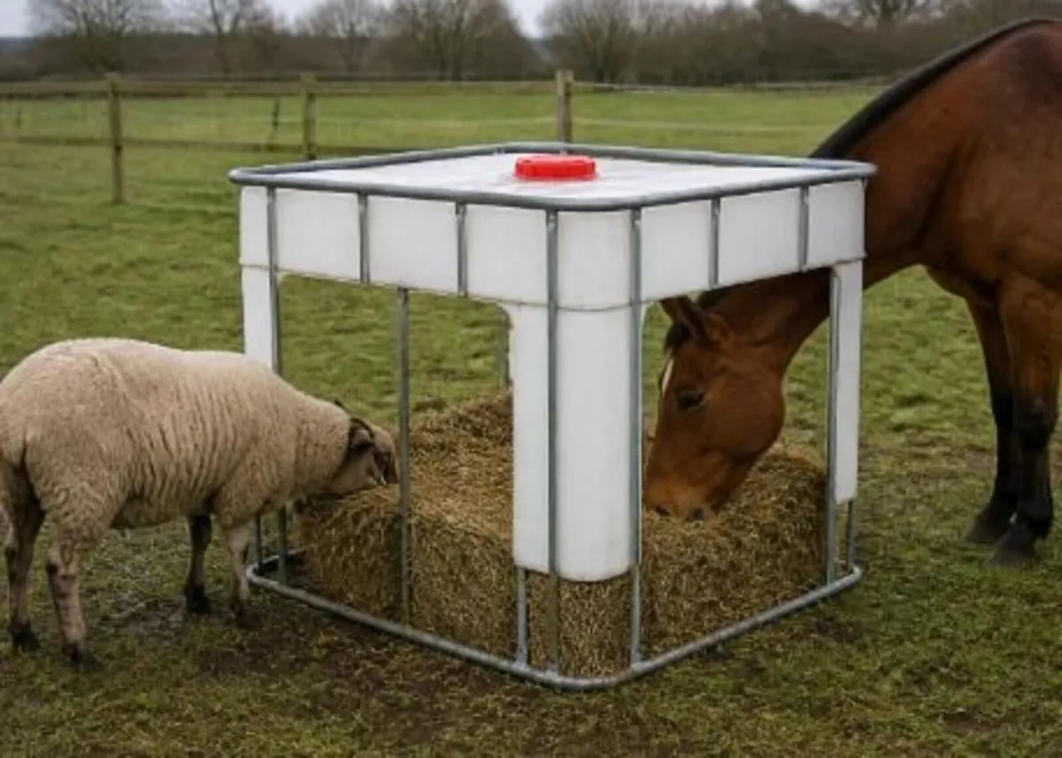 IBC Animal feeder - Image 2