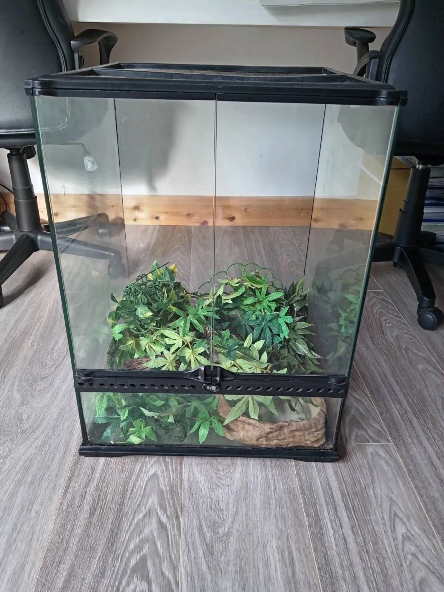 Terrarium vivarium - Image 1