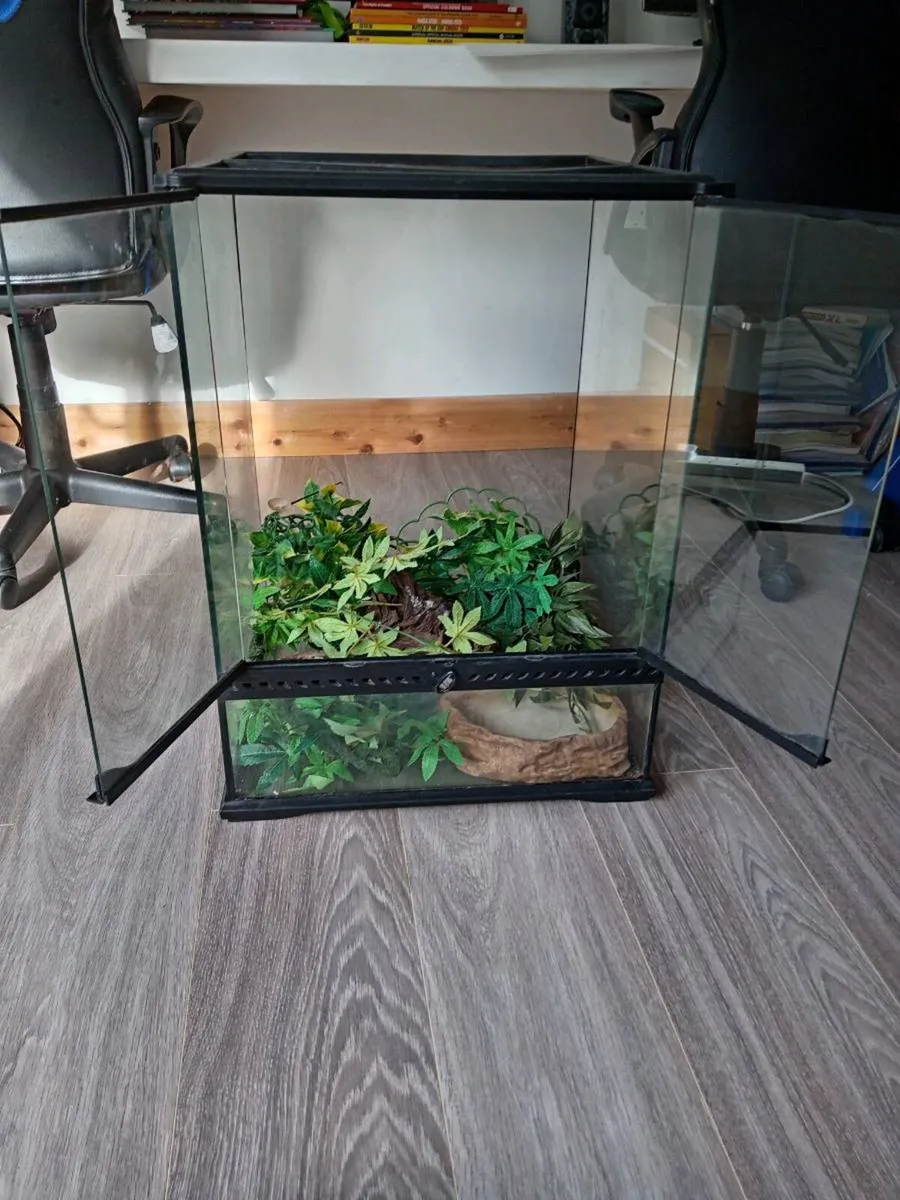 Terrarium vivarium - Image 2