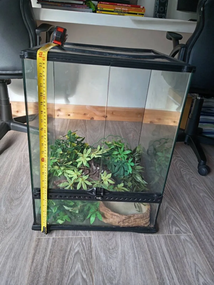 Terrarium vivarium - Image 4
