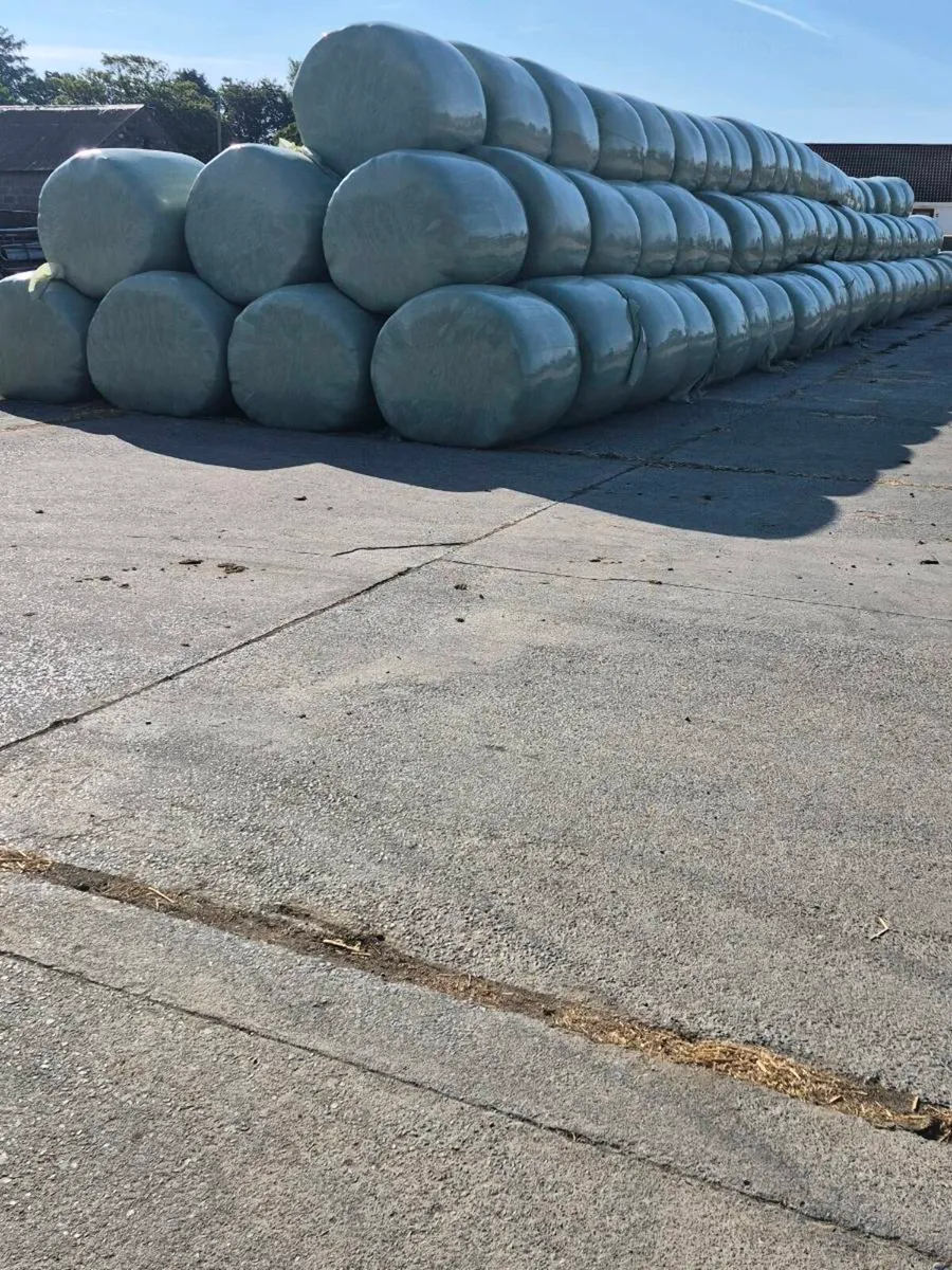 Silage ,Haylage and straw for sale - Image 1
