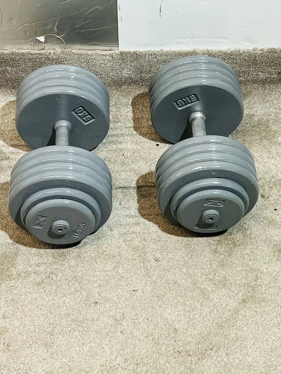 HAEVY DUMBBELLS  44,47,57,60,kgs - Image 4