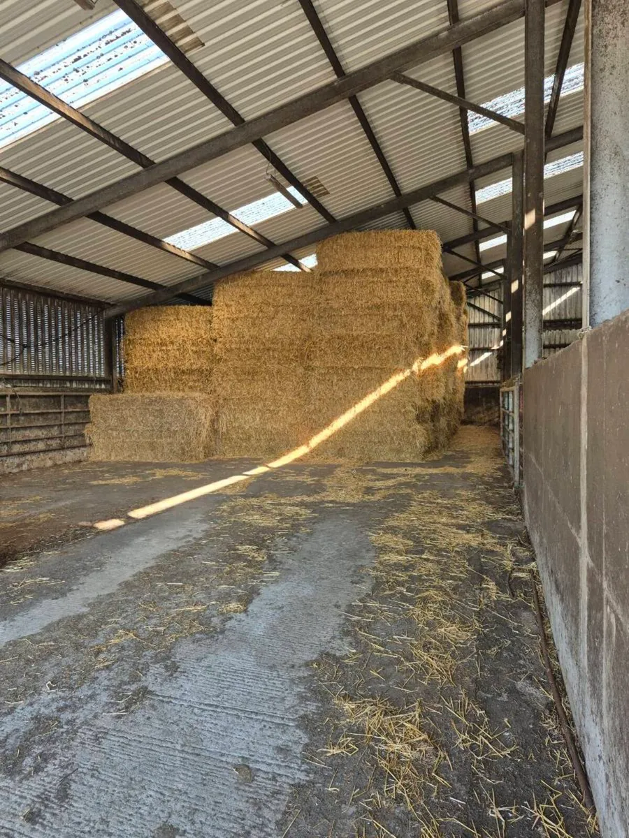Silage ,Haylage and straw for sale - Image 3