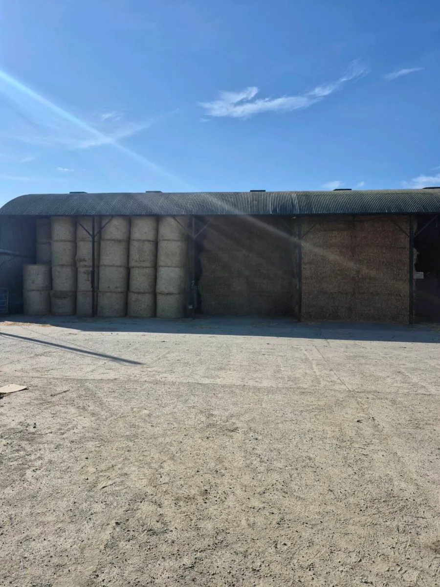Silage ,Haylage and straw for sale - Image 4