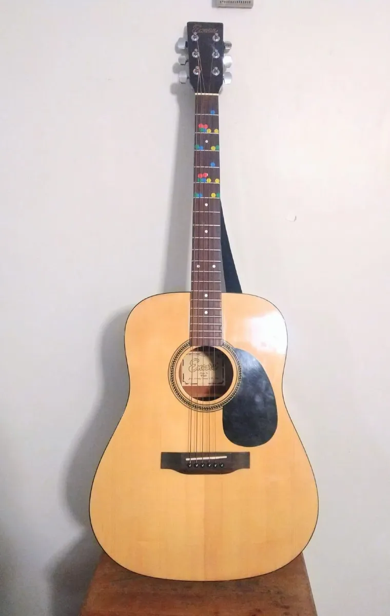 Encore acoustic guitar, model W255 - Image 1