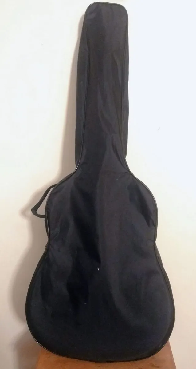 Encore acoustic guitar, model W255 - Image 2