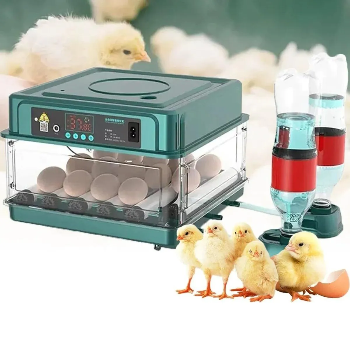 16-Egg Automatic Incubator Temperature Control - Image 1