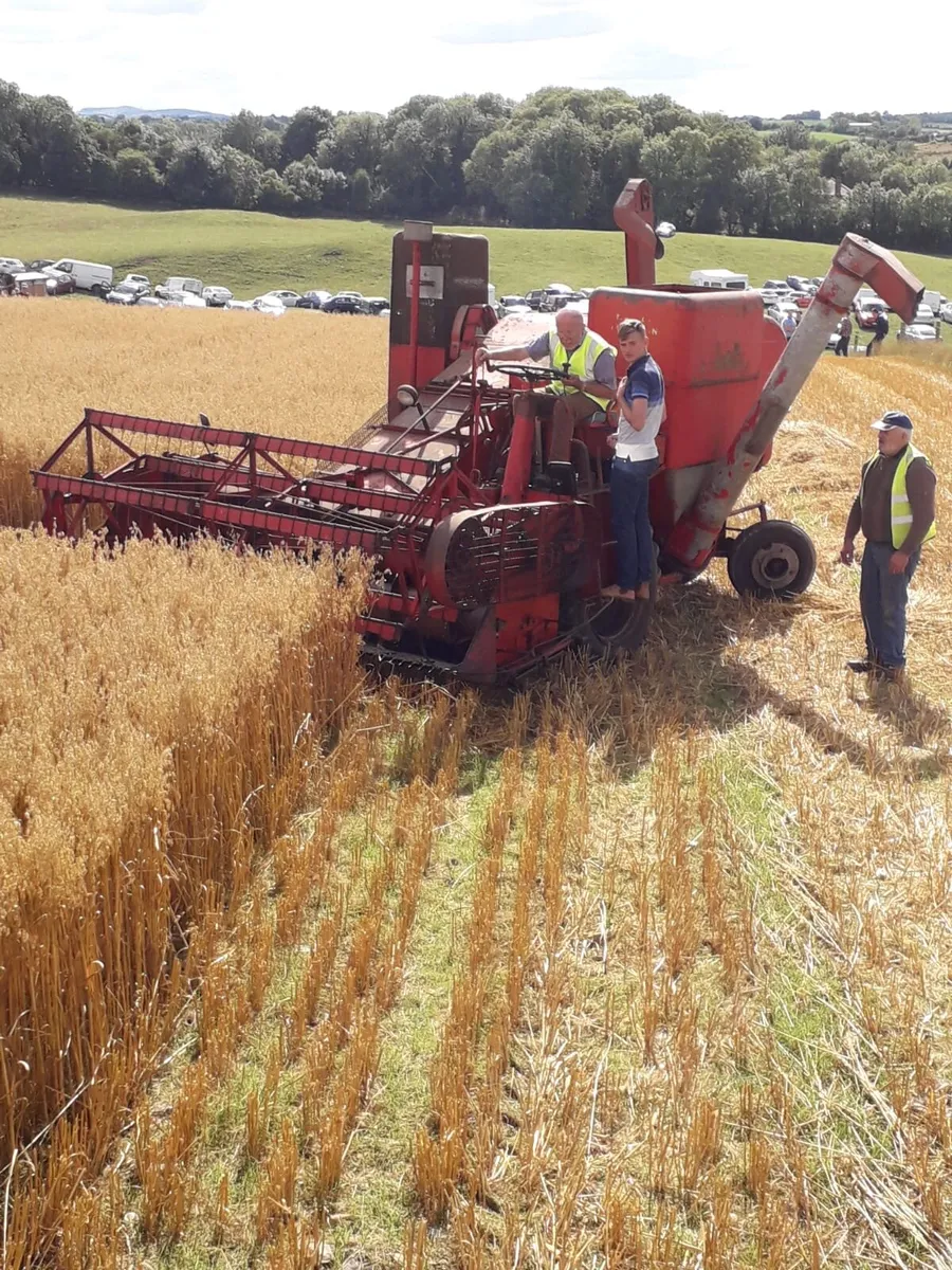 Massey Ferguson Combine Harvester - Image 2
