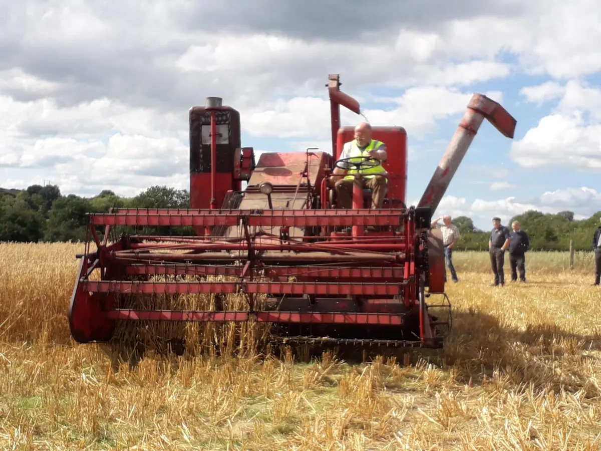 Massey Ferguson Combine Harvester - Image 3
