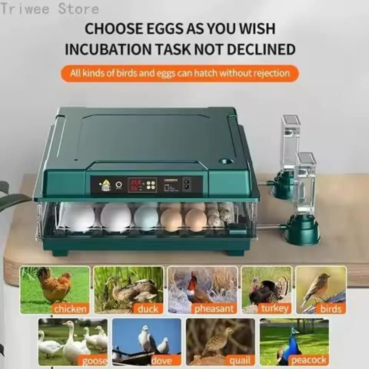 16-Egg Automatic Incubator Temperature Control - Image 4