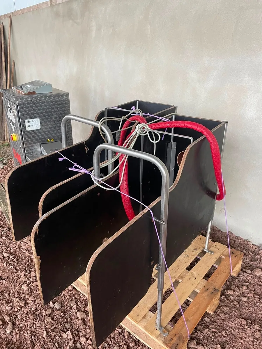 Urban automatic calf feeder - Image 2