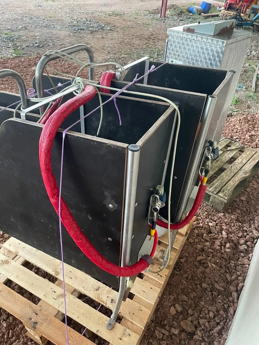 Urban automatic calf feeder - Image 4