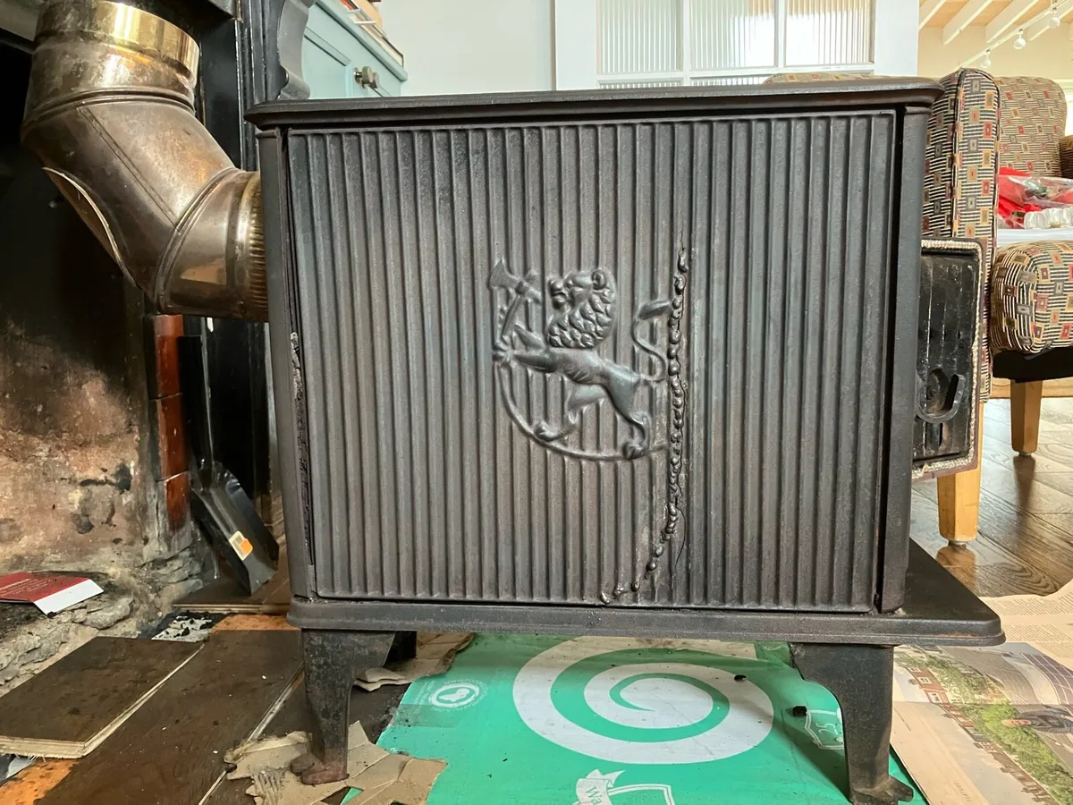 Jotul Wood Burning Stove - Image 4