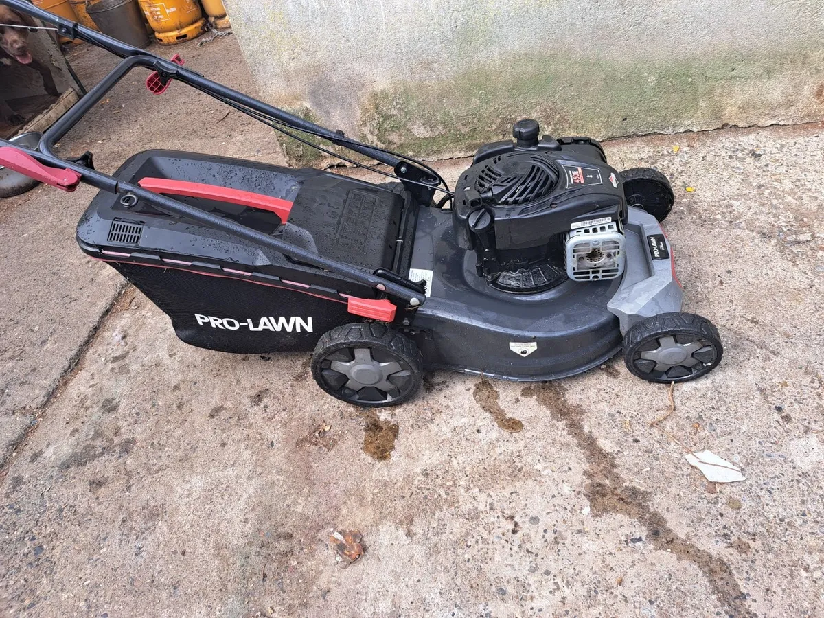 Lawnmower - Image 2