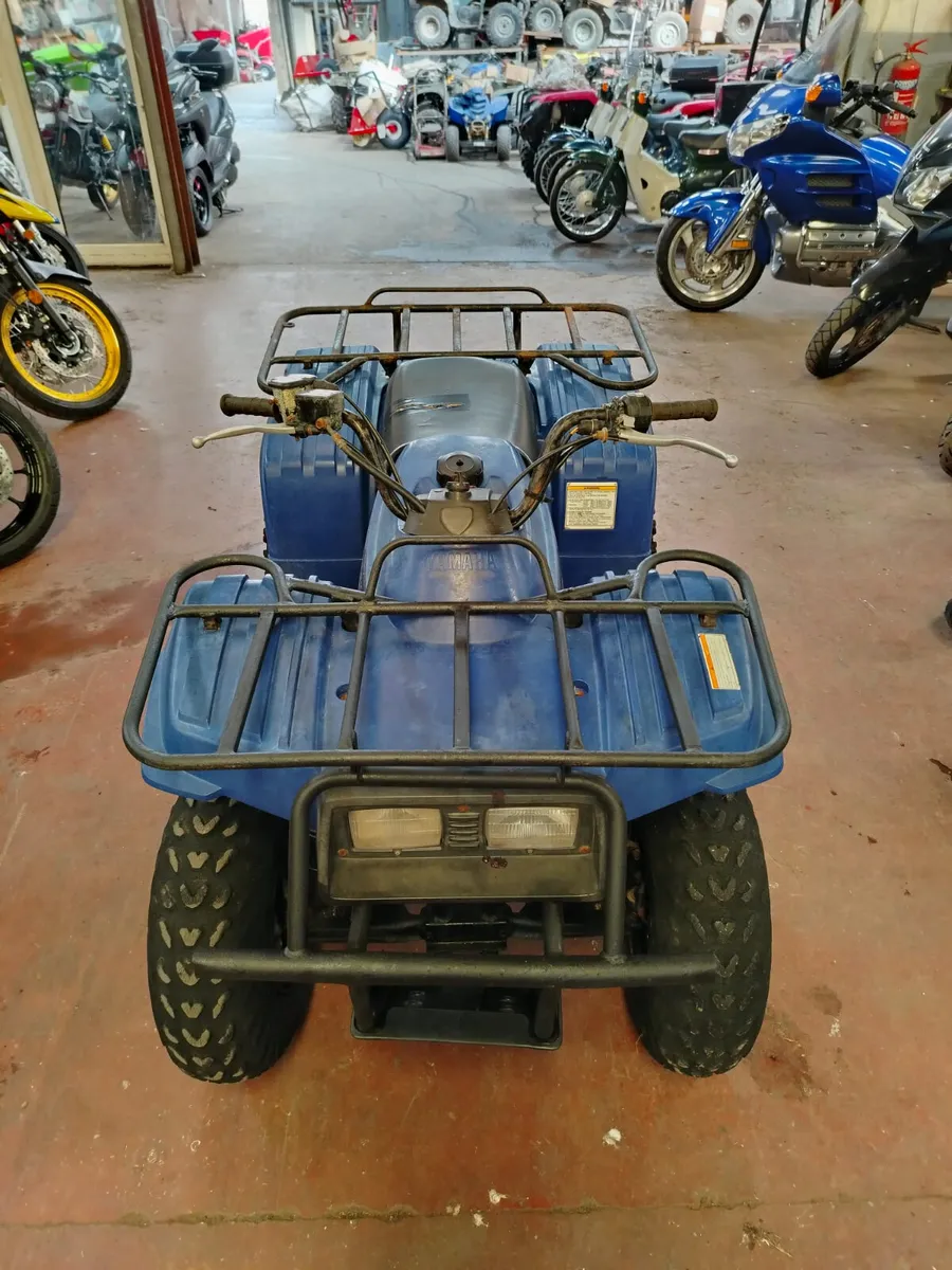 Yamaha BearTracker 250 - Image 3