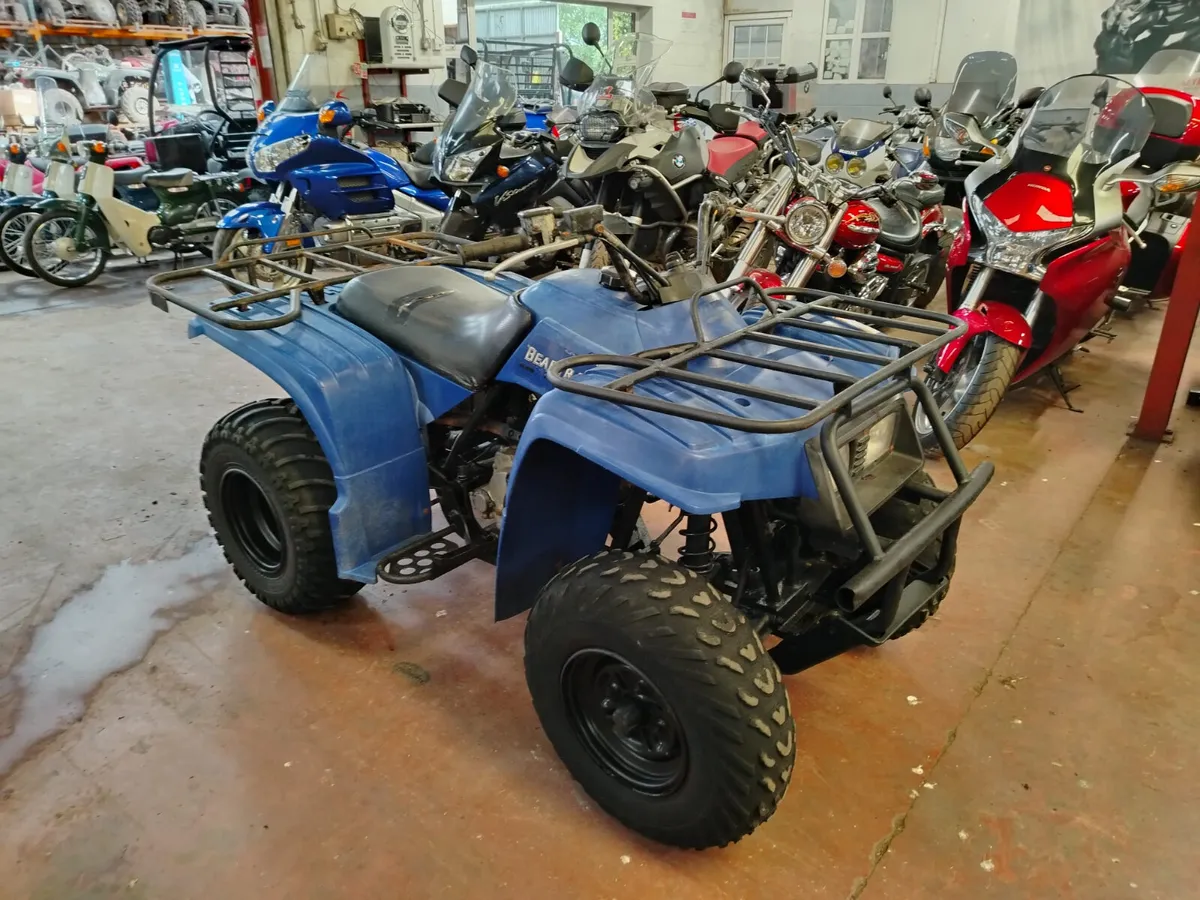 Yamaha BearTracker 250 - Image 2