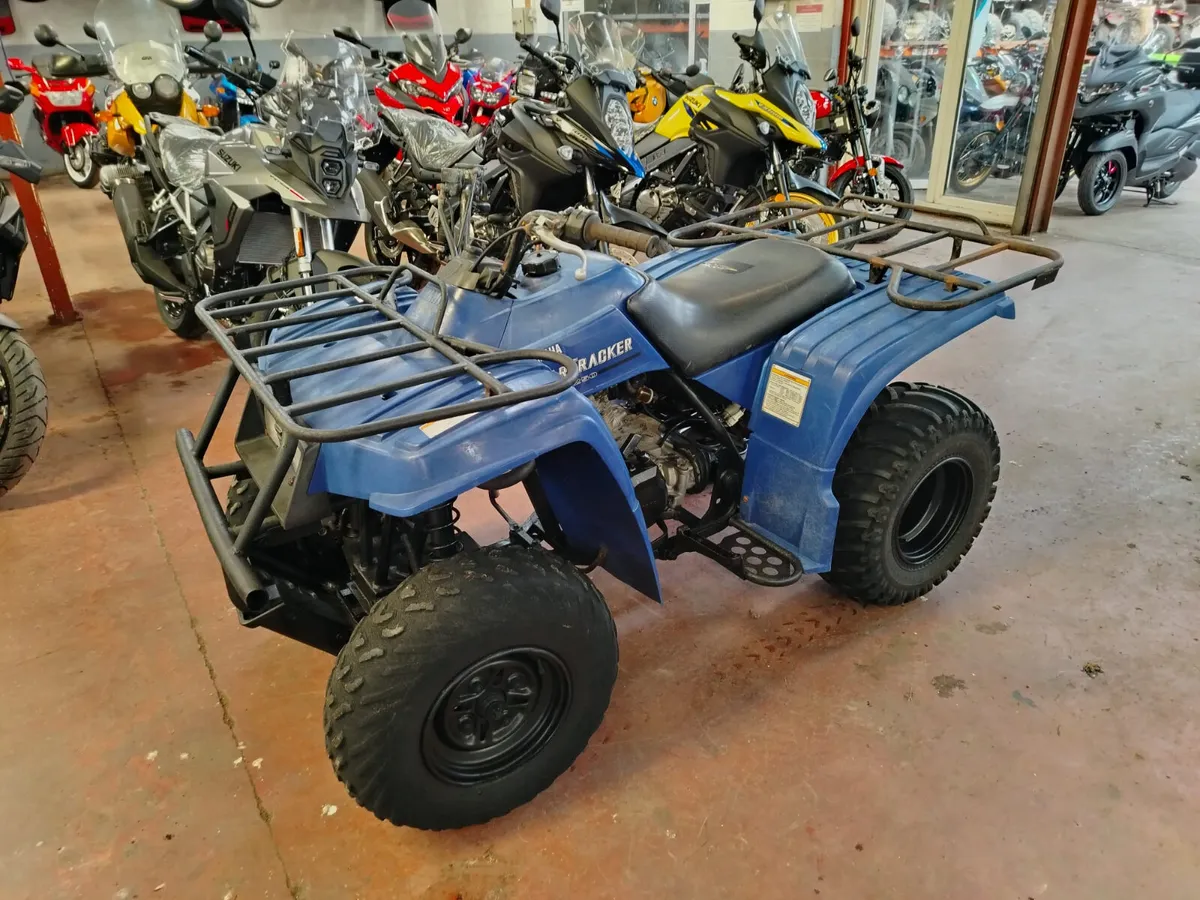 Yamaha BearTracker 250 - Image 4