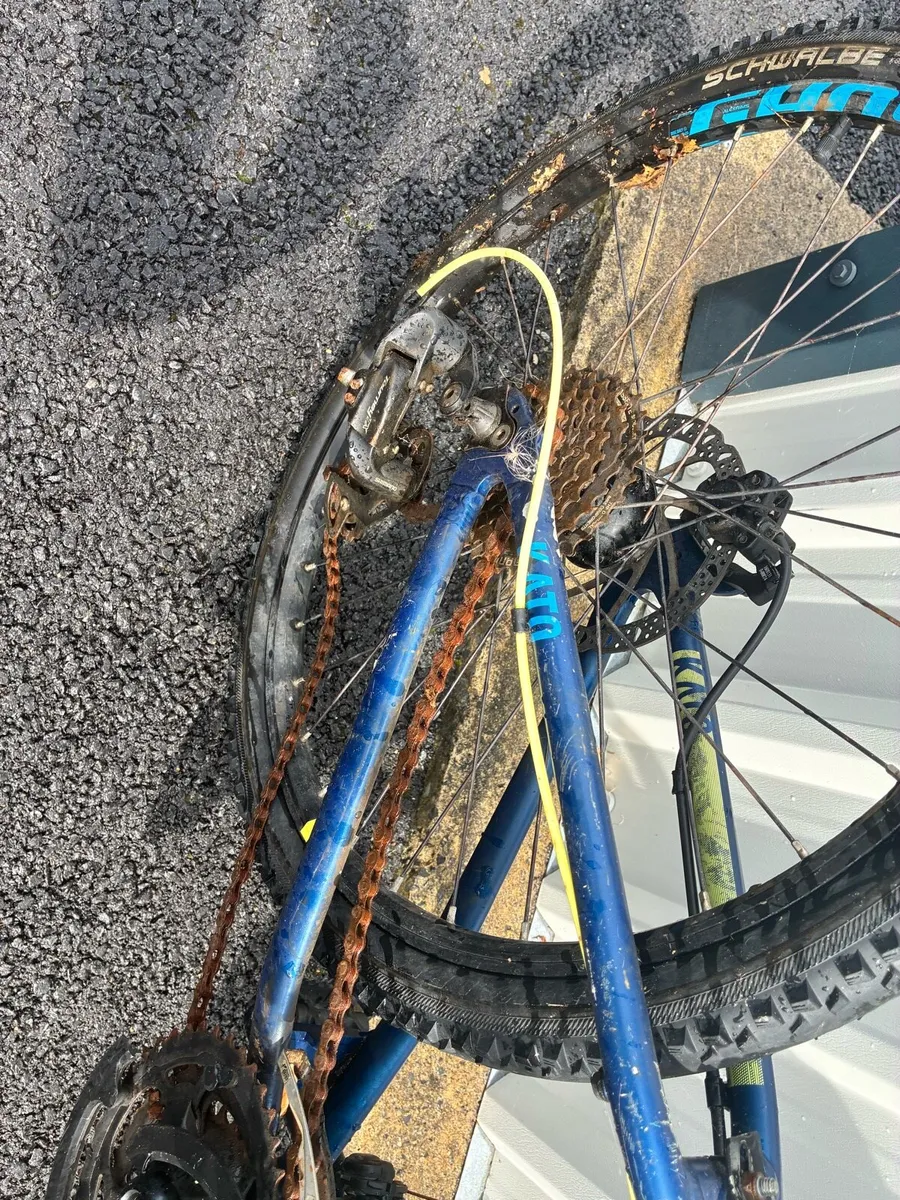 Child’s bike - Image 2
