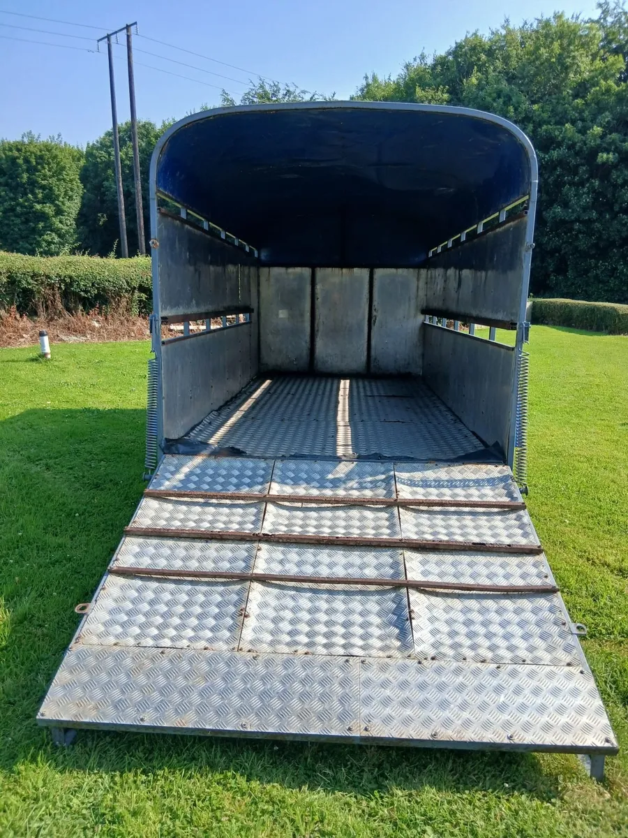 12ft Cattle Trailer - Image 4