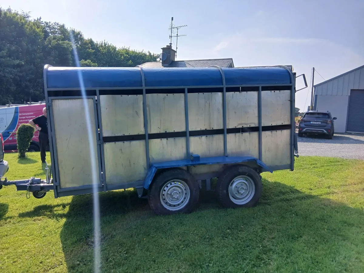 12ft Cattle Trailer - Image 3