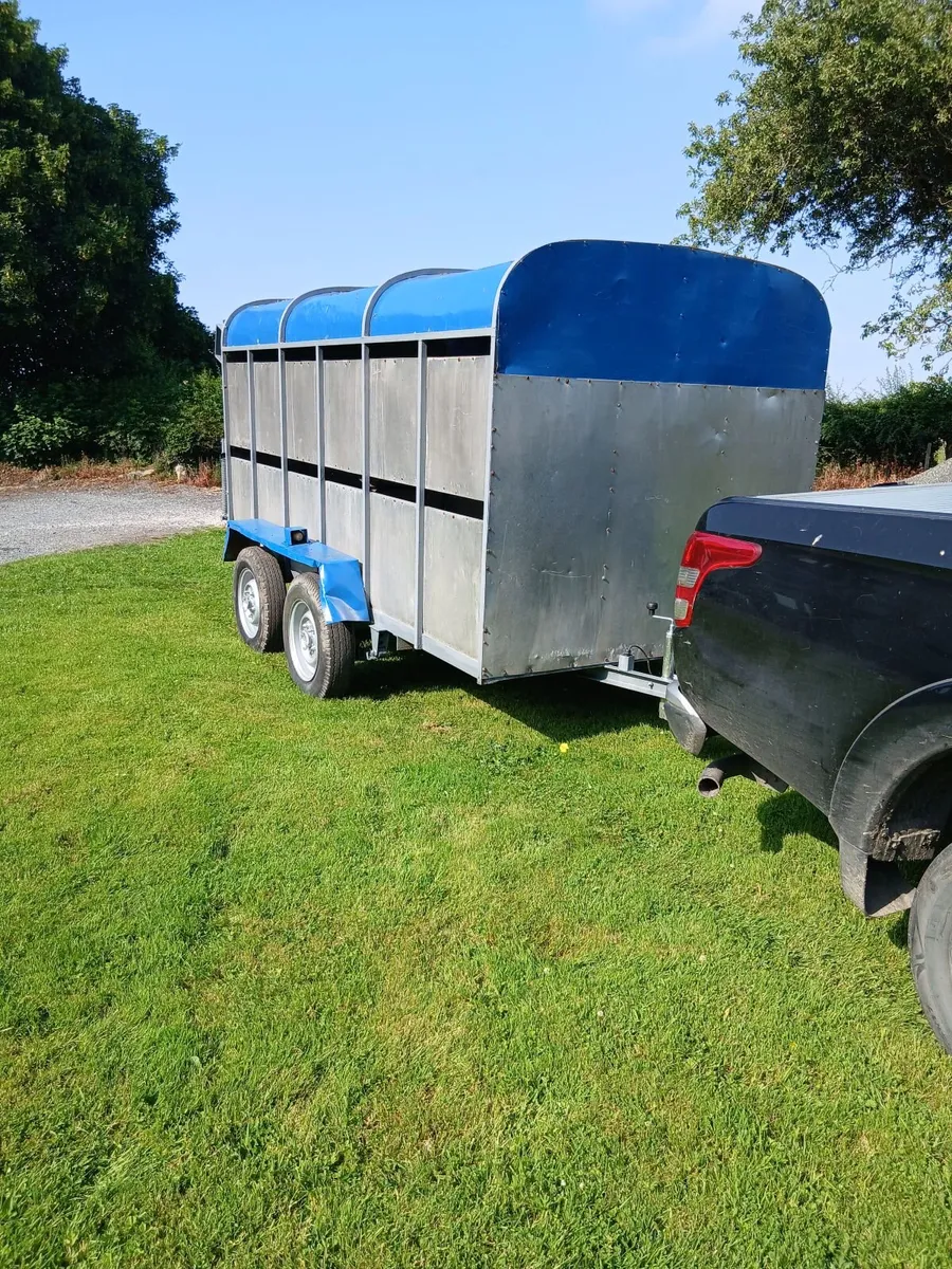 12ft Cattle Trailer - Image 2