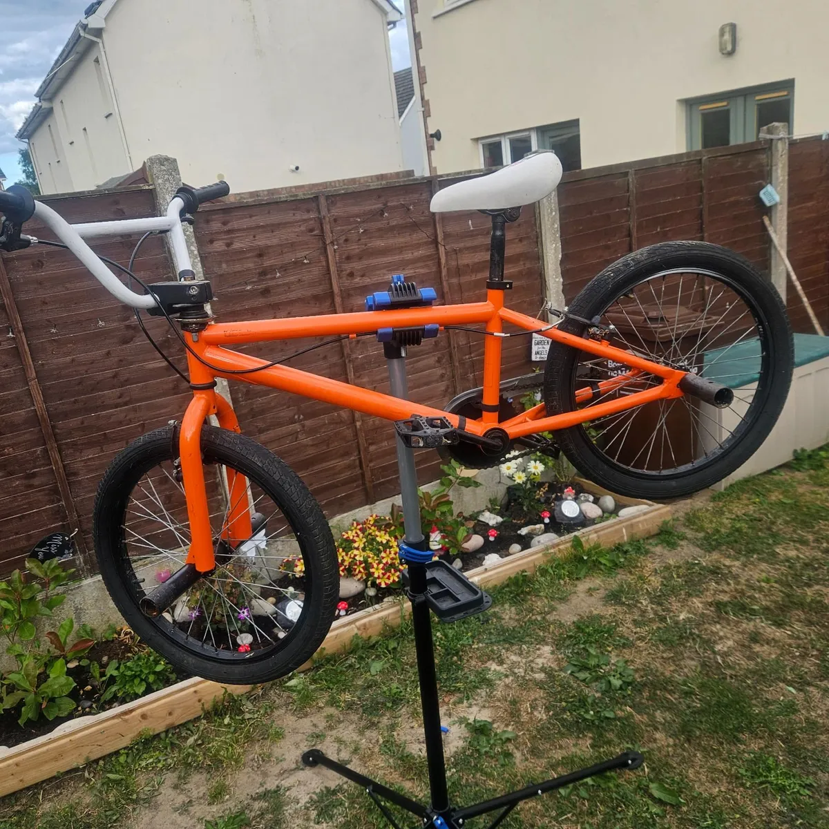 Bmx offers