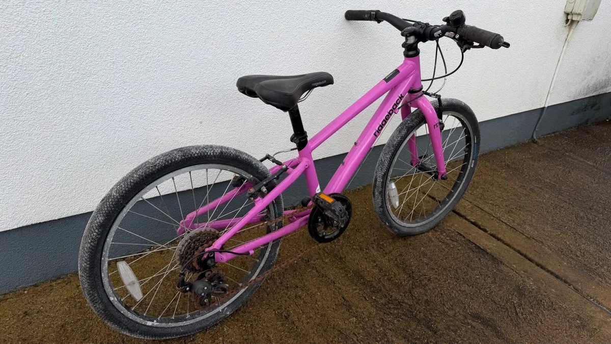 Kids Ridgeback Dimension 20 bike - Image 1