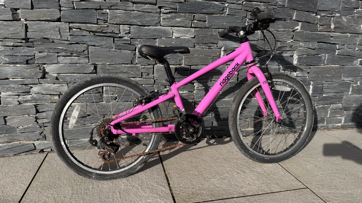 Kids Ridgeback Dimension 20 bike - Image 3