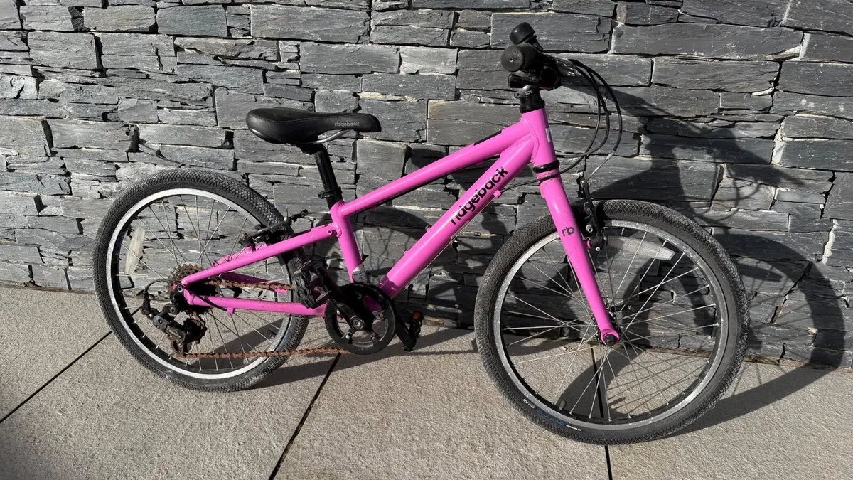 Kids Ridgeback Dimension 20 bike - Image 4