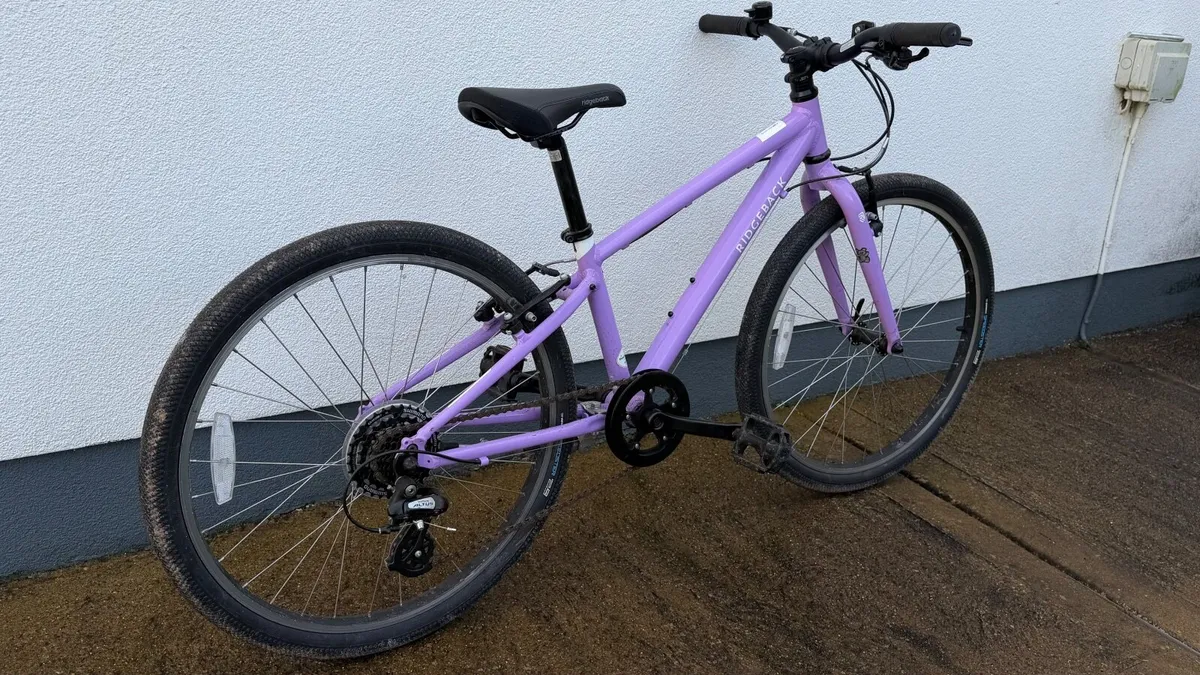 Kids Ridgeback Dimension 24 bike - Image 1