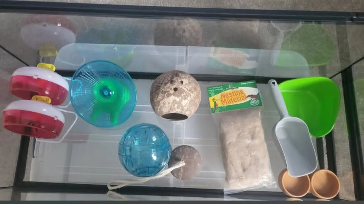 Small animal glass enclosure - Image 2