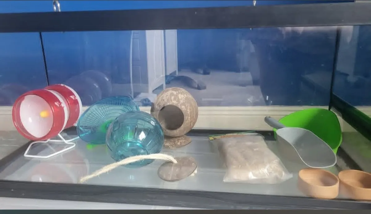 Small animal glass enclosure - Image 1