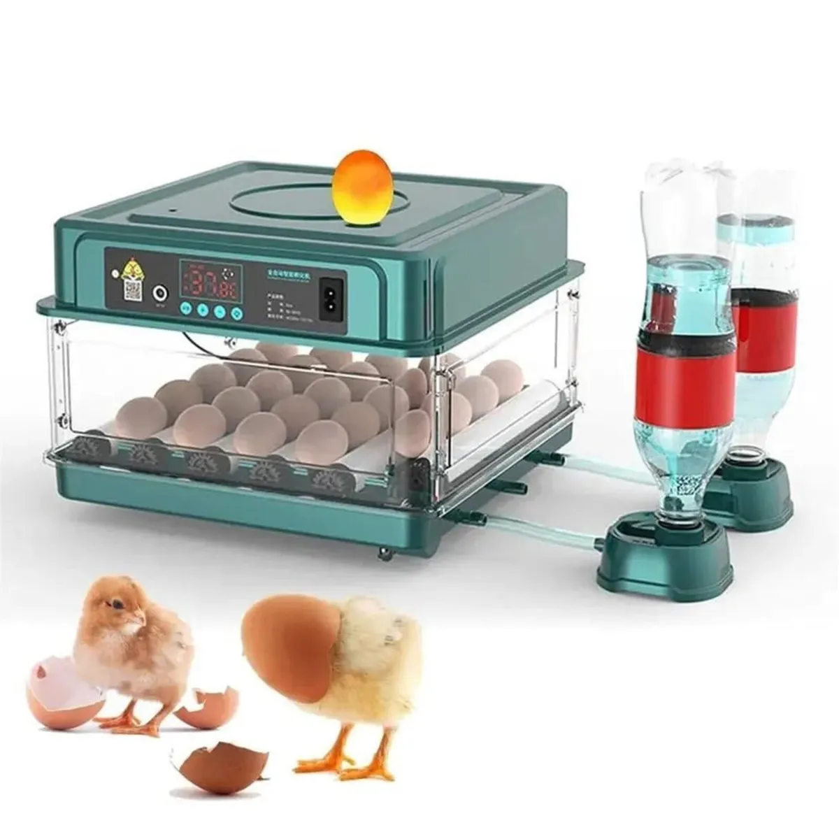 24-Egg Automatic Incubator  Temperature Control - Image 1