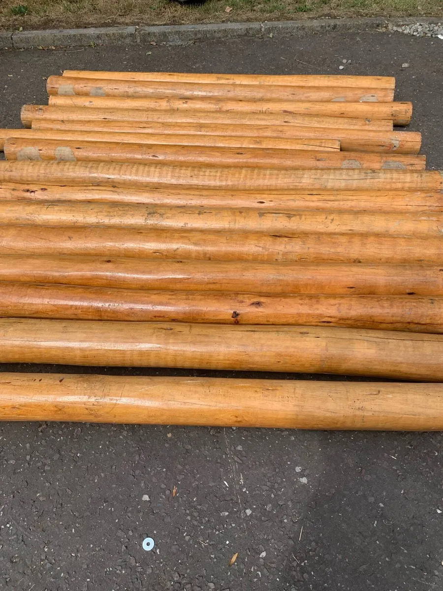 Cedar logs - Image 4
