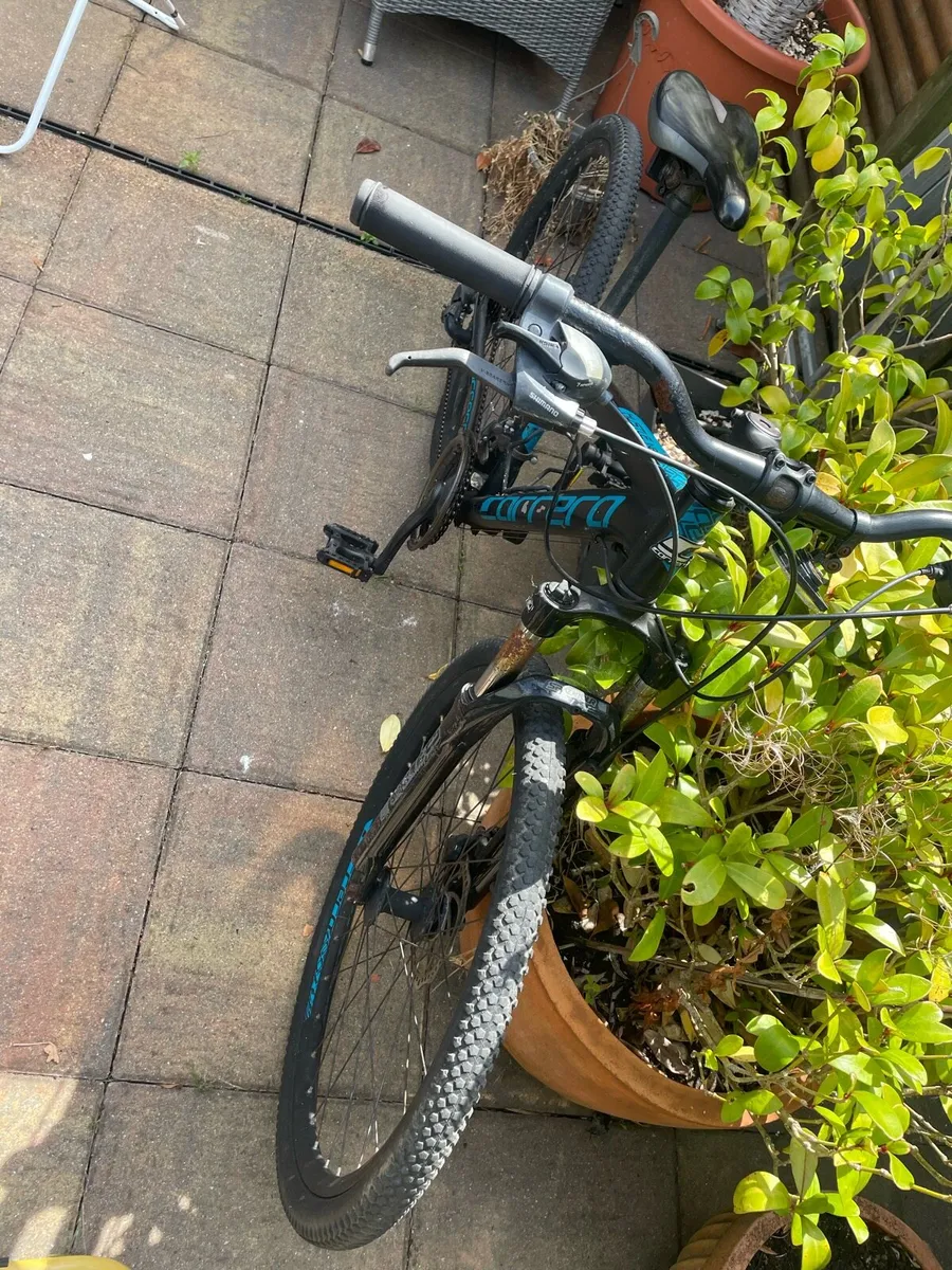 Carrera bike - Image 2