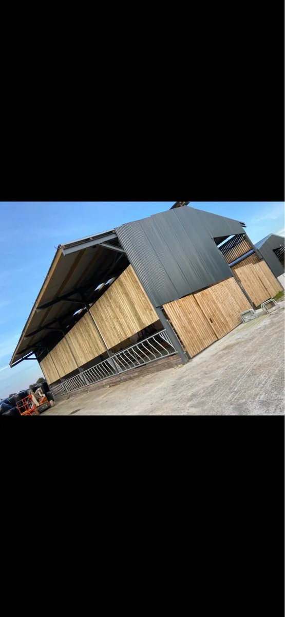 Slatted shed , cattle accommodation