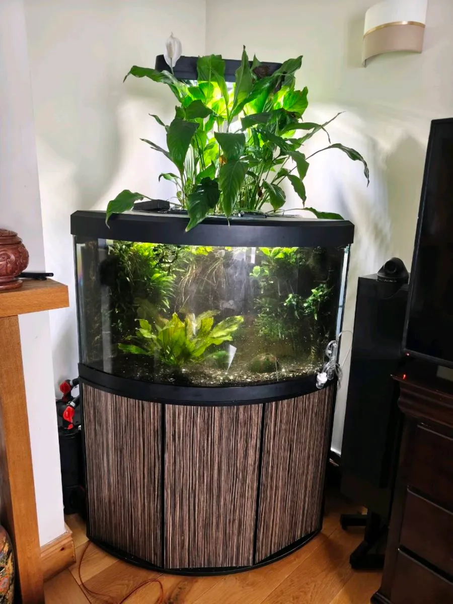 Fluval Venezia 190 Riparium (Going Concern) - Image 1