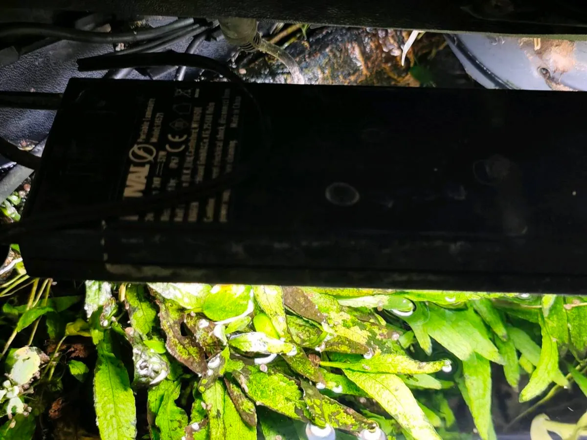 Fluval Venezia 190 Riparium (Going Concern) - Image 2