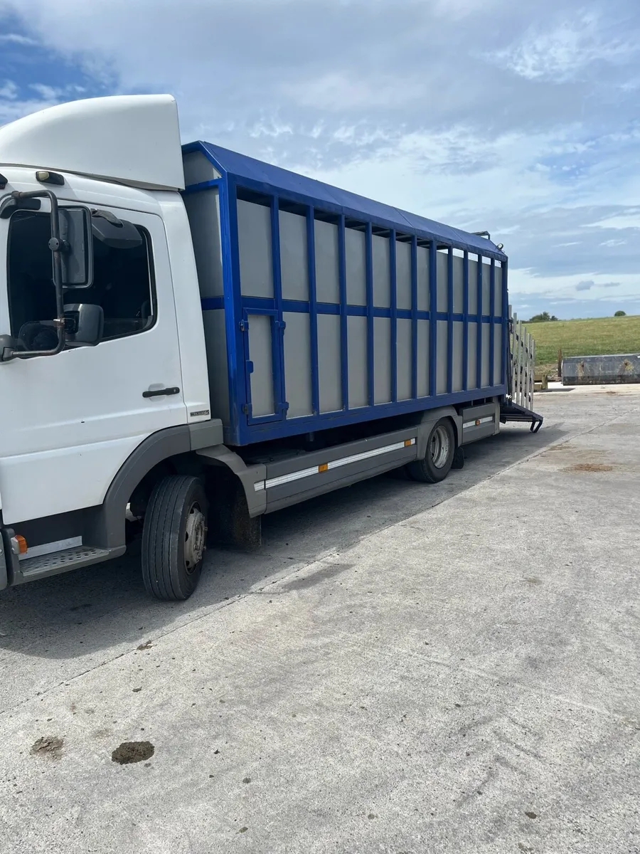 Cattle truck - Image 2
