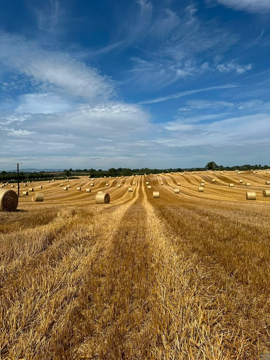 Rye Straw for sale 5x4 Round bales - Image 4