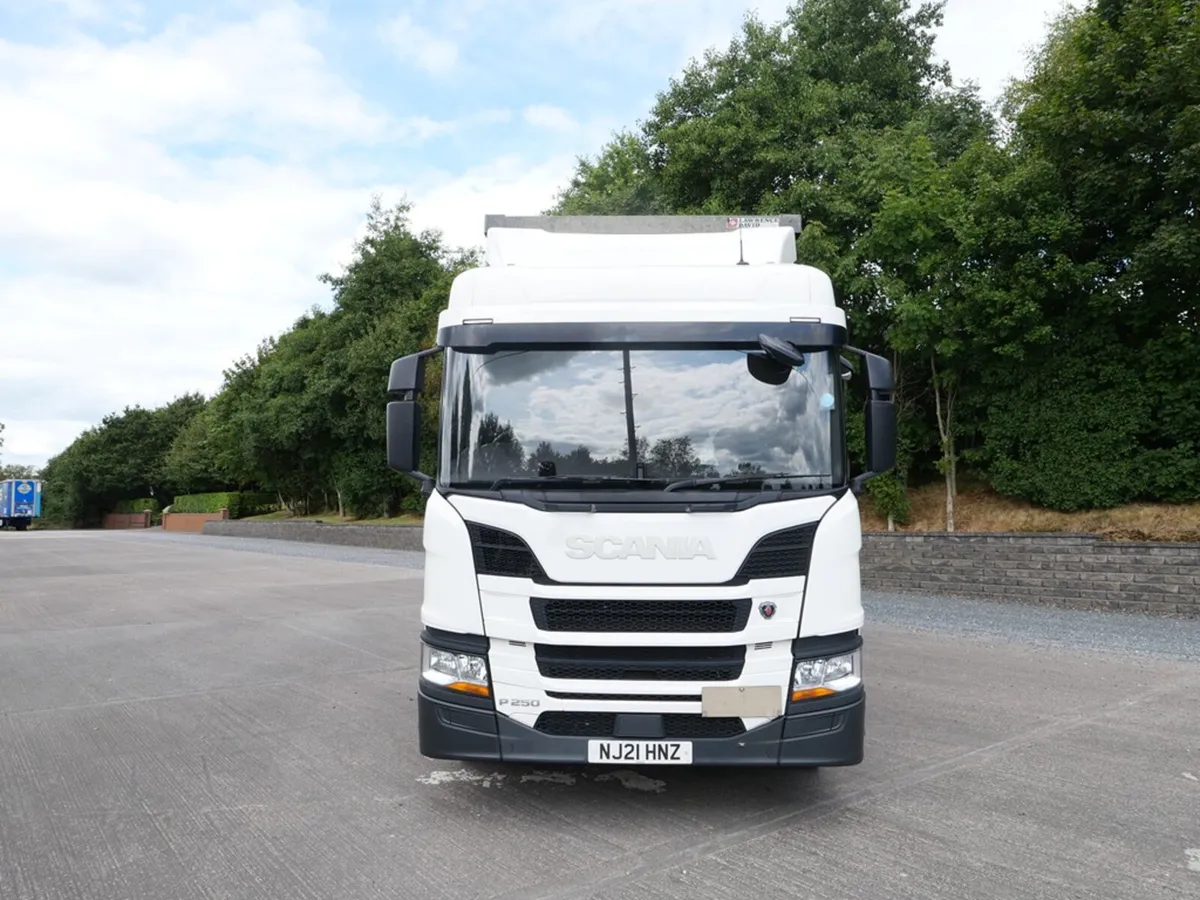 Scania P250 - Curtainside - 4x2 - R1-01251 - 2021 - Image 2